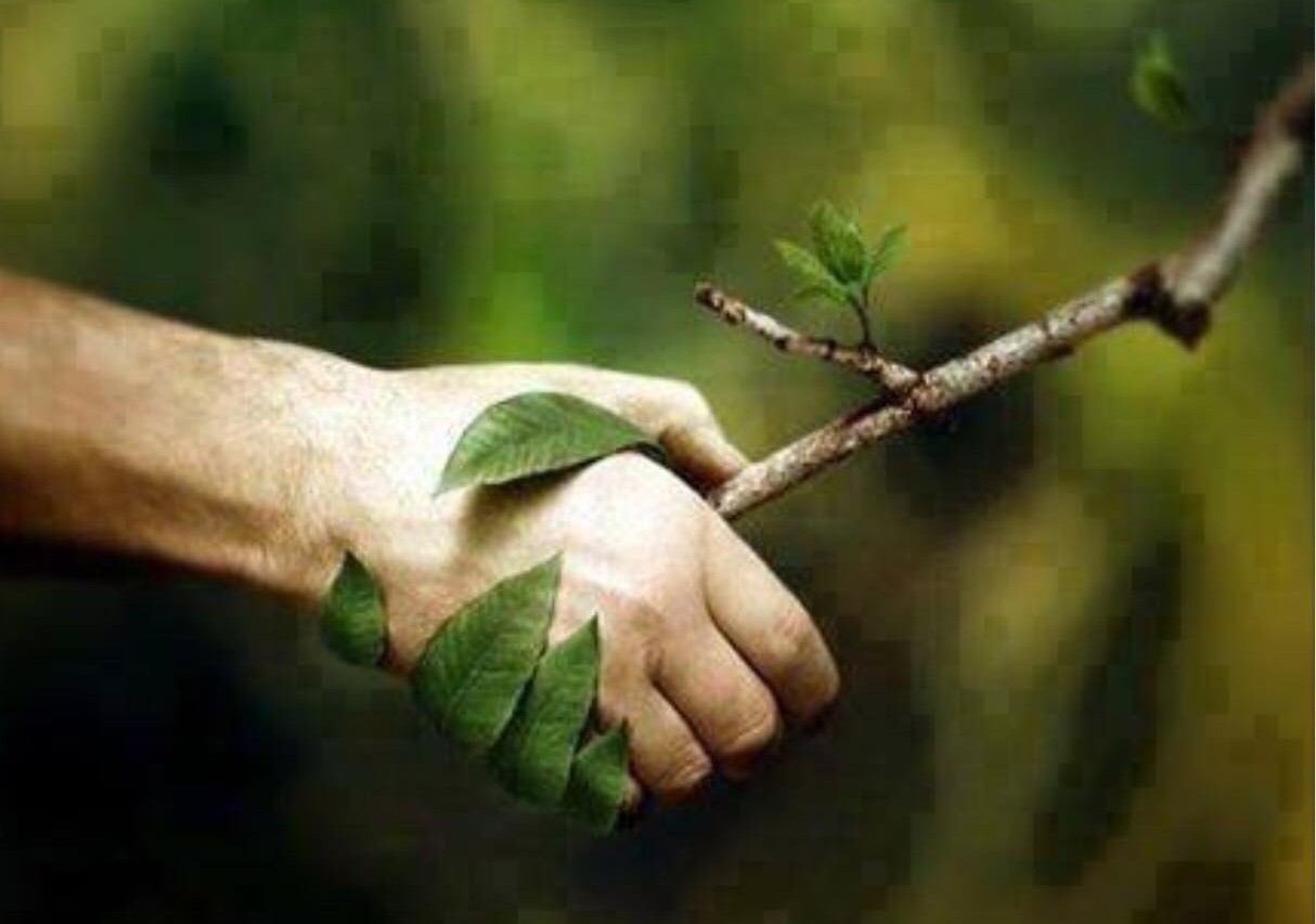 Natura FR "Priroda i društvo"
